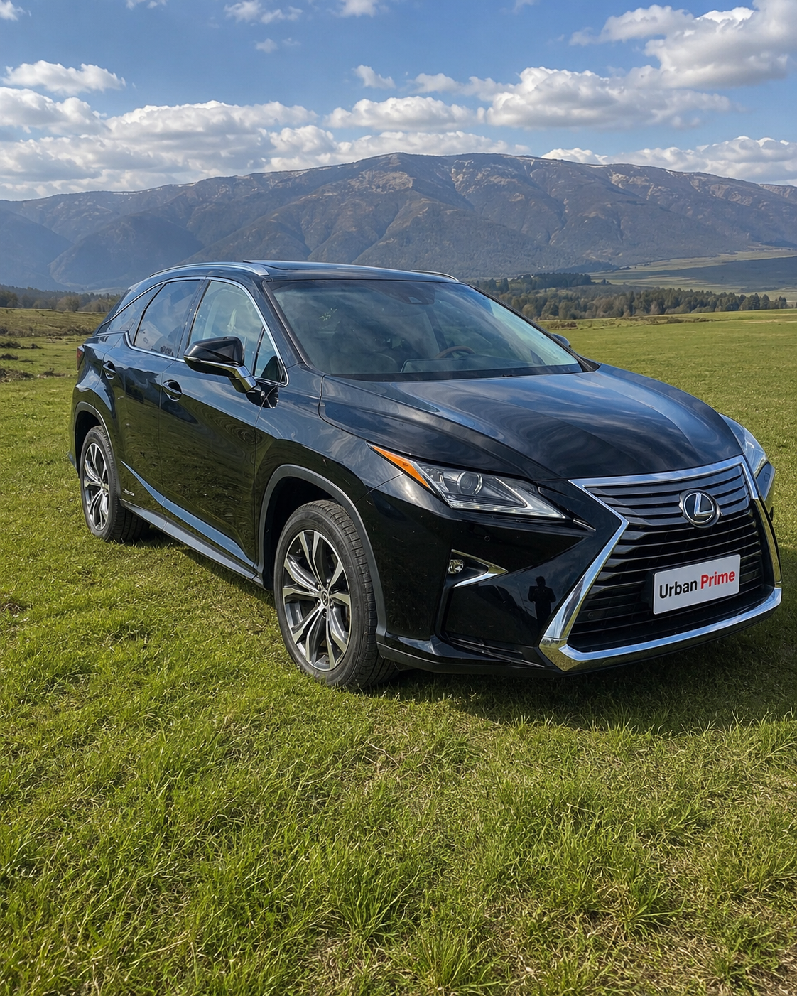 Lexus RX 350L
