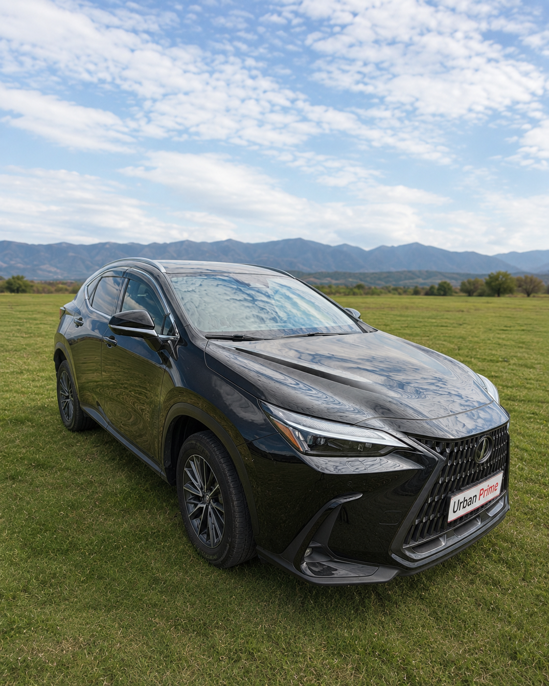 Lexus NX 250